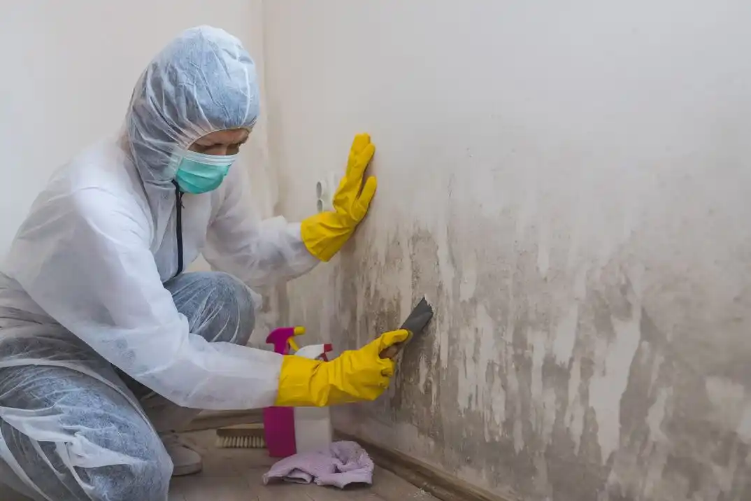 water damage restoration service Belair